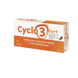 NATURACTIVE CYCLO 3 Fort Jambes Lourdes - 60 Gélules