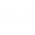 TIMELESS TRUTH MASK